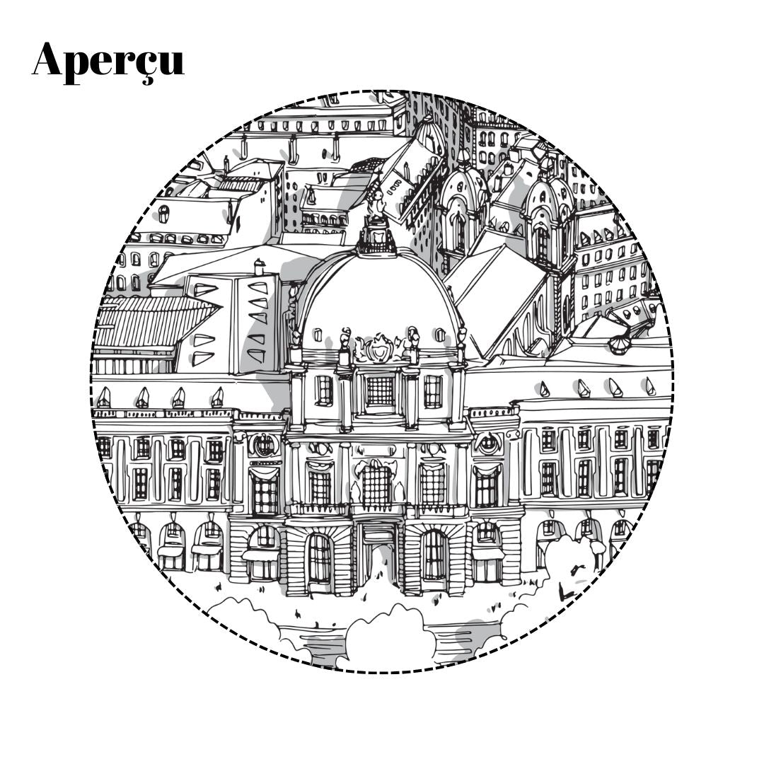 Papier peint trait noir Grand Hôtel-Dieu de Lyon