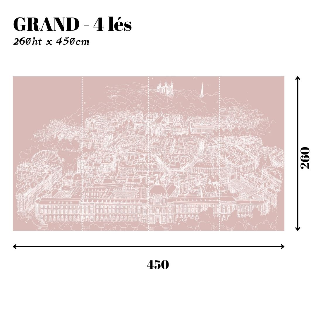 Papier peint vieux rose Grand Hôtel-Dieu