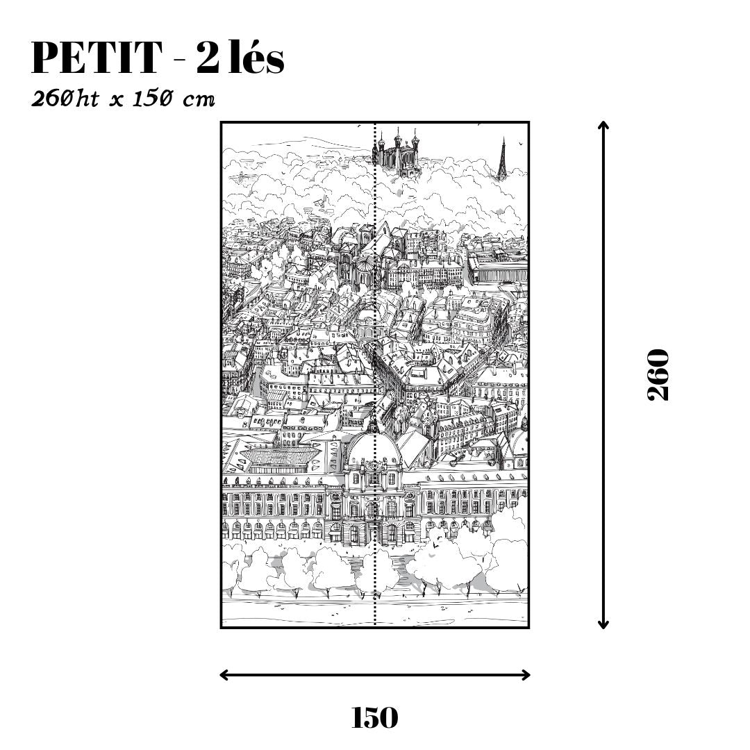 Papier peint trait noir Grand Hôtel-Dieu de Lyon