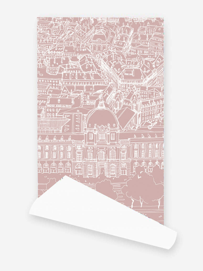 Papier peint vieux rose Grand Hôtel-Dieu