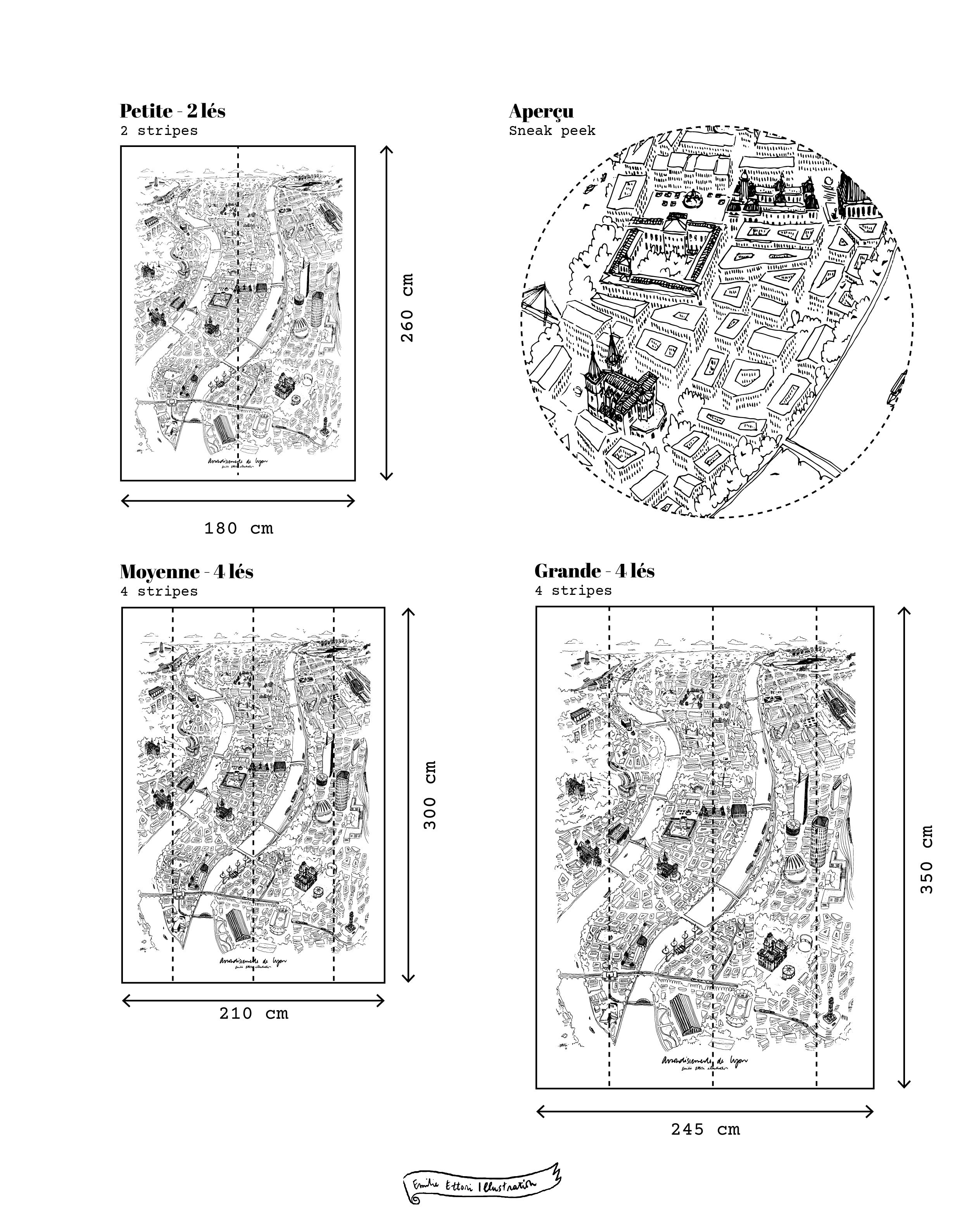 Papier peint 9 arrondissements de Lyon